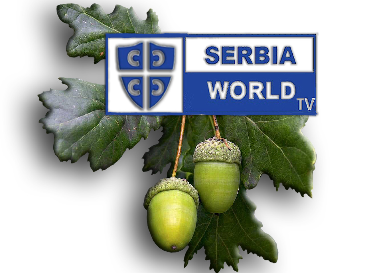 Srpska svetska TV