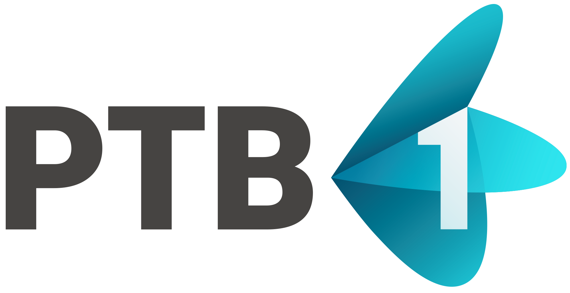 RTV 1